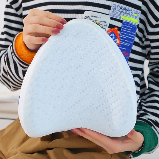 COUSSIN GENOUX
